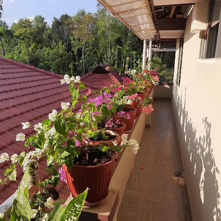 Srinikethana Home Stay With Swimming Pool Madikeri Exterior photo