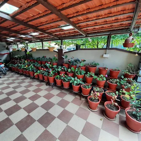 Srinikethana Home Stay With Swimming Pool Madikeri Exterior photo